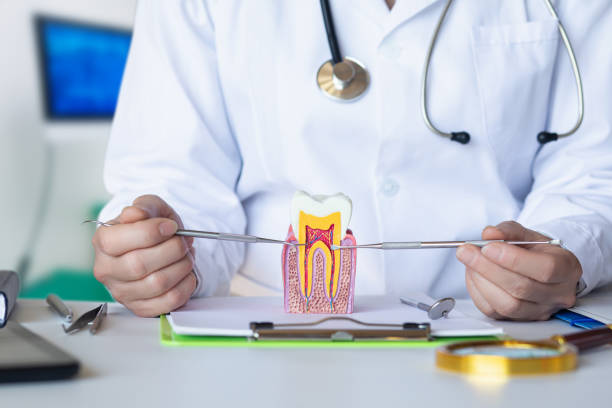 Best Dentist for Tooth Abscess  in , AK